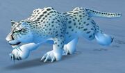 Snow Leopard