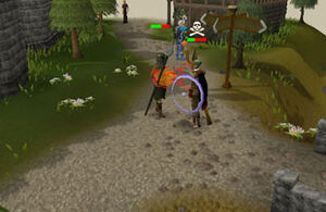 PvP Foght