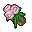 God Flowers