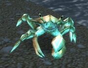 Encrusted Surf Crawler