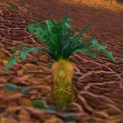 Crystalsong Carrot