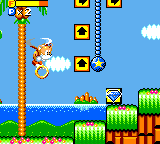 TailsSkypatrolTraining