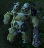 Ogre Warrior