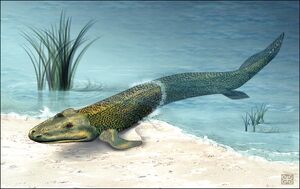 Tiktaalik roseae life restor