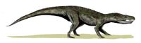 Baurusuchus BW