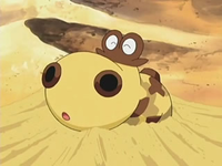 EP534 Hippopotas saliendo de la arena