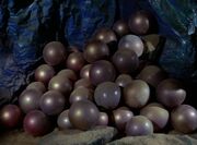Hortaeier