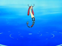 EP544 Milotic (3)