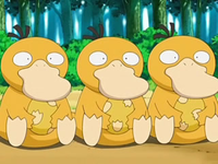 EP556 Psyduck con los huevos
