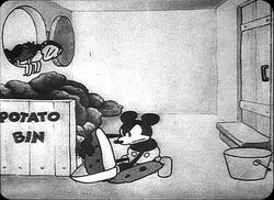 Steamboatwillie6