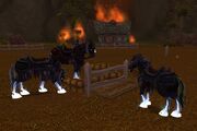 Acherus Deathchargers
