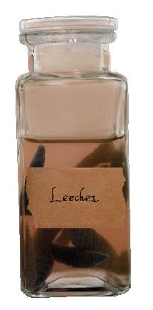 Leeches