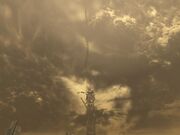 Collapse 4
