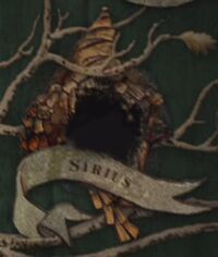 Sirius Disowned
