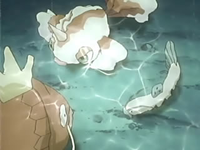 EP429 Pokémon en el lago