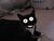 Stupidcat
