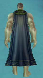Sethekk Oracle Cloak, Snow Background, Human Male