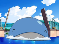 EP578 Wailord (2)
