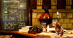McGonagall Animagus