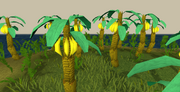 Bananas
