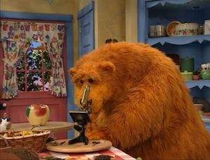02 Bear's Microscope