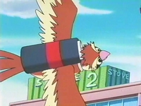 EP166 Pidgey portando una carta
