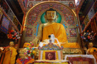 Sakyamuni Buddha