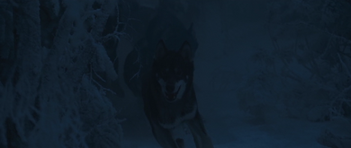 Secretpolicewolves