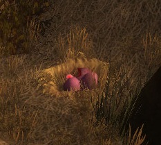 Darts nest