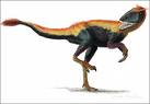 Dilong dinosaur