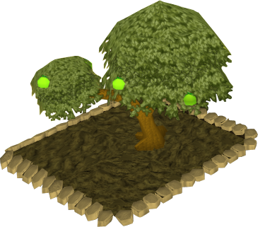 Apple tree