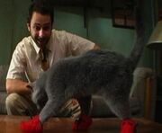 Kitten-mittens2