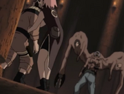 Narusakuvsarashi4