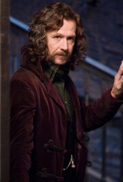 Sirius Grimmauld