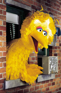 Strong big bird