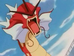 EP237 Gyarados rojo