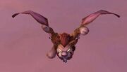 Wind Rider Cub