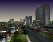 Vice Point (VC)