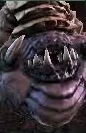 Infestor SC2 DevHead1