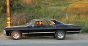 Impala