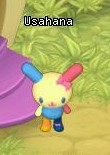 HKO NPC Usahana35
