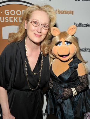 Meryl streep2
