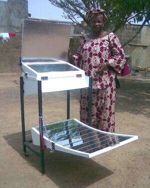 Nelu-Diass cooker 1