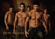 Jacob-Black-Wolf-Pack-taylor-lautner-7301791-1400-999