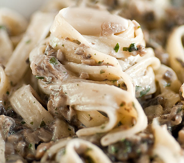 Recipes With  Wiki Mushroom  Free creamy Dairy Creamy  free Pasta recipes dairy Sauce pasta
