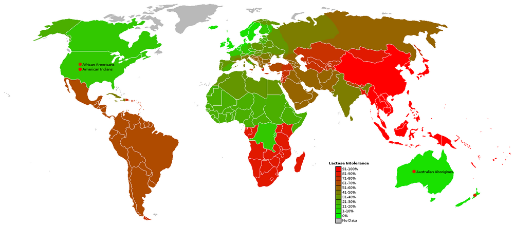 1000px-Lactase_Intolerance_world_map.png