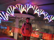 IMG 4224