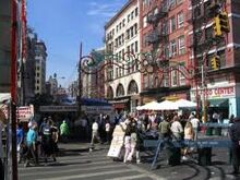 Little Italy real