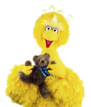 big bird teddy