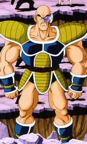 Nappa 2
